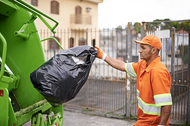 Yard Cleanup Services in Norwood, OH